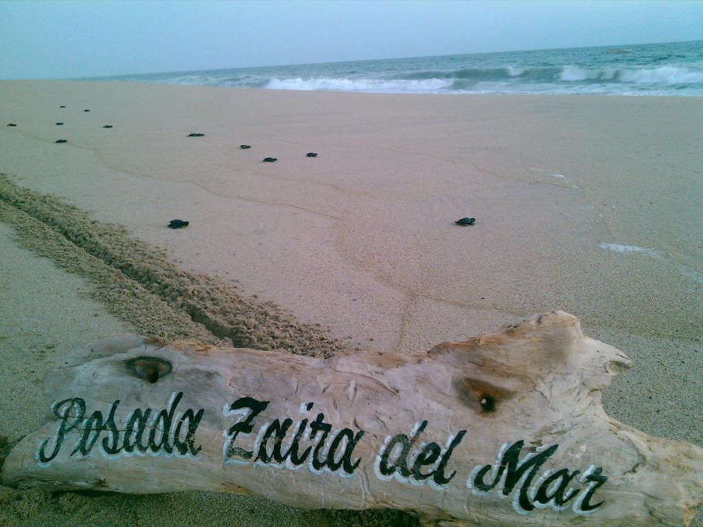 Coyuca Posada Zaira Del Mar מראה חיצוני תמונה